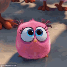 IMG_1257.gif