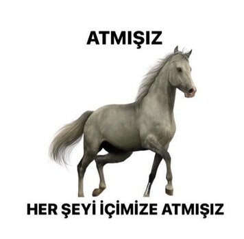 b72ea594-3a55-4e6e-bbad-81364649a07a.jpeg
