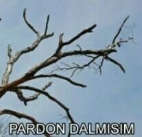 dalmisim ahahshahhahahahah🤣🤣🫣.jpeg
