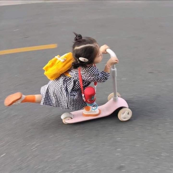 1769734243668.png