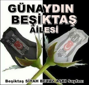 cedbfa12d5d01a59ea67960dd43410e0.jpg