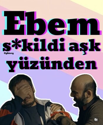 IMG_3766.jpeg