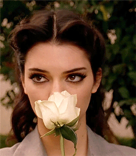 1F9AA10F-DE06-4C89-A5DB-6ACD60F51846.gif