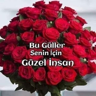 63a9cb2343846dc518de3ff65a41070e.jpg