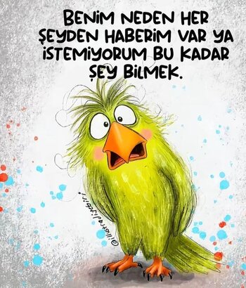 FB_IMG_1771008661723.jpg