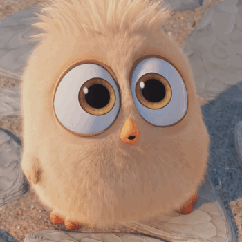 7D76D3A7-C4A5-4F9B-A981-45686DEDA270.gif
