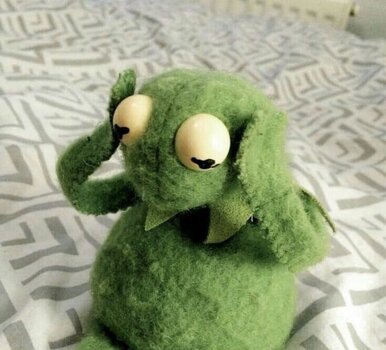 IMG_1105.jpeg