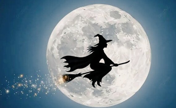 20260227_003052.jpg