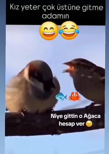 Screenshot_2026-03-09-14-16-12-375_com.instagram.android-edit.jpg