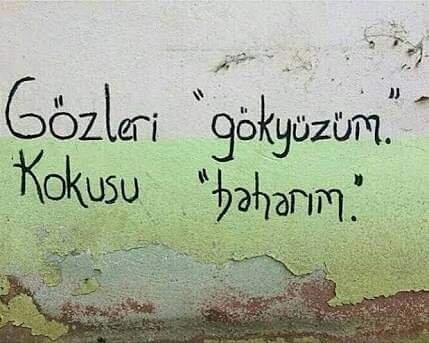 FB_IMG_1679234577551.jpg