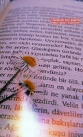 Papatya.jpeg
