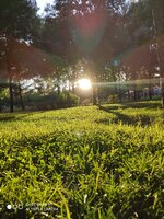 IMG_20200816_183104.jpg