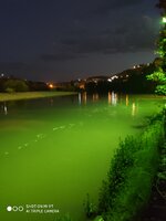 IMG_20200802_200602.jpg