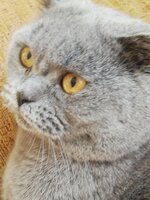 IMG_20200819_133840.jpg