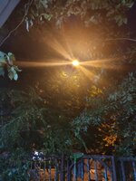 IMG_20200820_194619.jpg