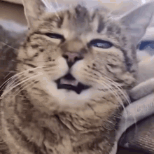 1774344132183.gif 1774344132183.gif