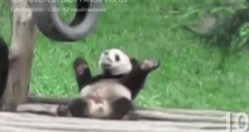 1774345037093.gif