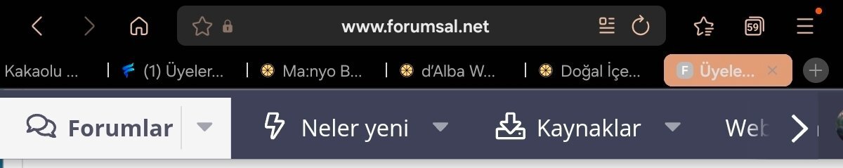 Screenshot_20260324_140757_Samsung Internet.jpg