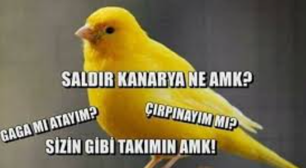 1774419381700.png