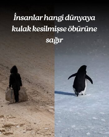İnsanlar….jpg