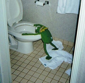 IMG_1384.jpeg IMG_1384.jpeg