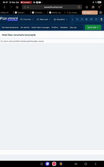 Screenshot_20260331_184734_Samsung Internet.jpg