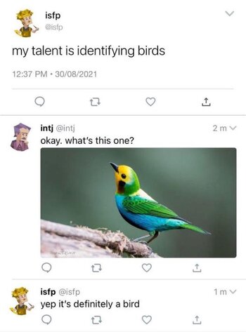 IMG_3405.jpeg