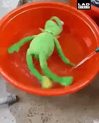 9iBIdXITr6LoVf8XgY.gif