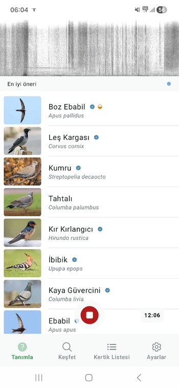 Screenshot_20260511_060457_Merlin Bird ID.jpg