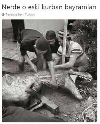 1000582914.jpg