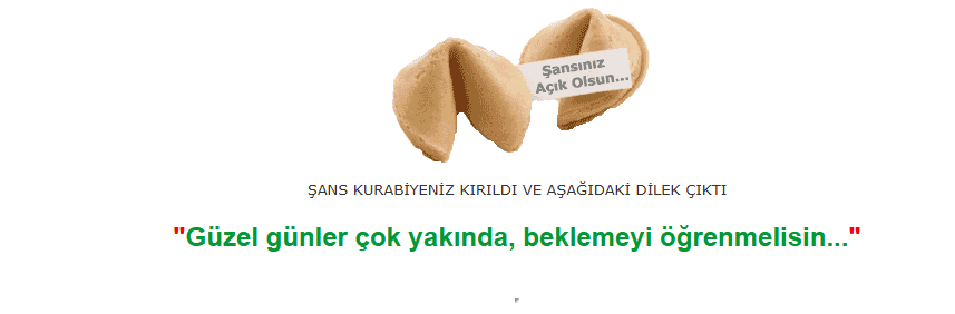 1779882120341.png