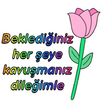 8e48bcb0950b4c9c8694ff851debefc8.jpg