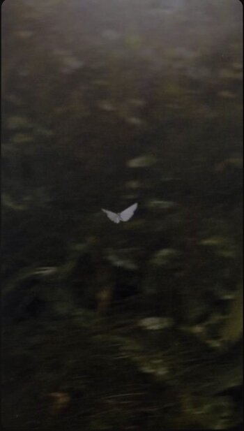 IMG_2443.jpeg
