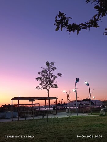 IMG_20260630_200104.jpg