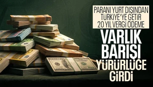 6a48b54c6896b460.webp