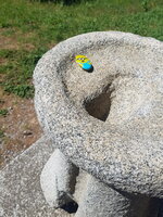 20190502_151435.jpg