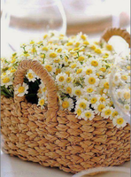 Screenshot_20200901-200333~2.png
