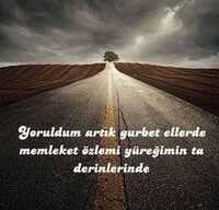 75dbd3d32396aa99e452842610bfe032.jpg