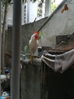 IMG_20200912_170028.jpg