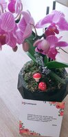 IMG_20200911_114958_559.jpg