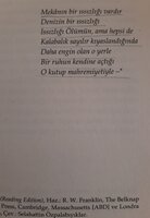 20200927_124623.jpg