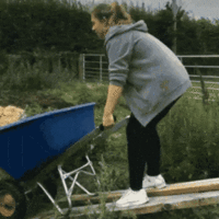 AngelicFavorableIndianhare-size_restricted.gif AngelicFavorableIndianhare-size_restricted.gif