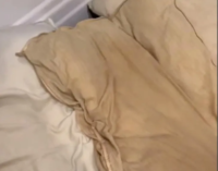 1601320550218.png 1601320550218.png
