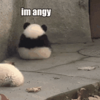tenor.gif