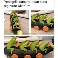 indir.jpg
