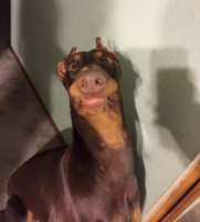 1601657921669.png