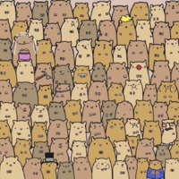 1603278768669.png