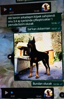 56B6E053-91D3-4329-9232-D0E77F5E5223.jpeg