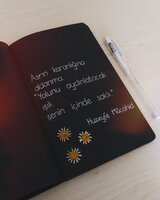 Fotoğraf açıklaması yok_ (1).jpeg