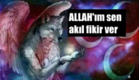 1604183179410.png